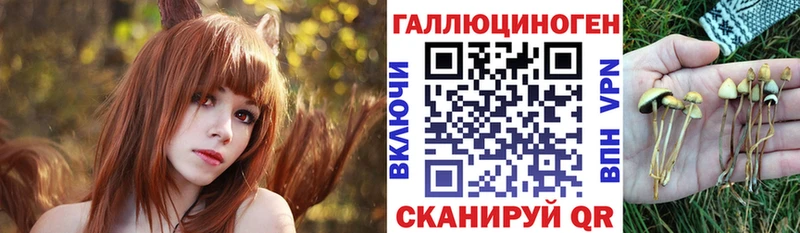 наркотики  площадка наркотические препараты  Псилоцибиновые грибы GOLDEN TEACHER  Шебекино 