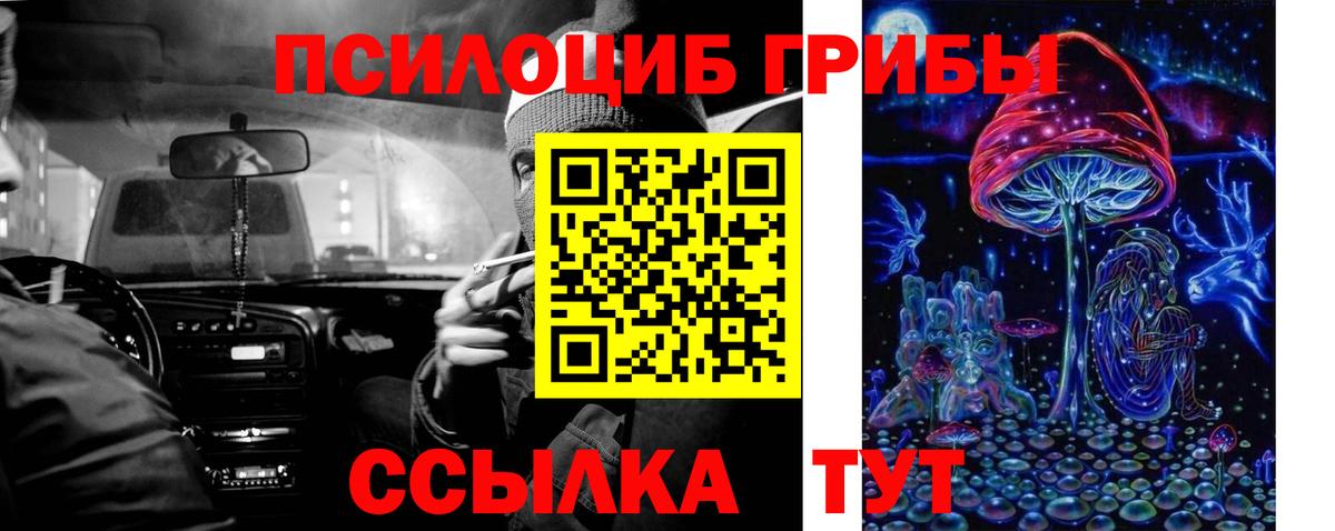 Шебекино  Галлюциногенные грибы мухоморы  Галлюциногенные грибы Magic Shrooms  Вход с VPN 