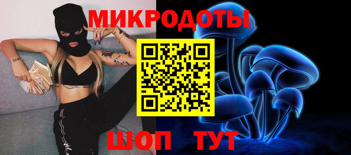 Галлюциногенные грибы Psilocybe Шебекино